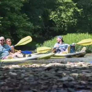 Single Kayak Trip A 5 Miles